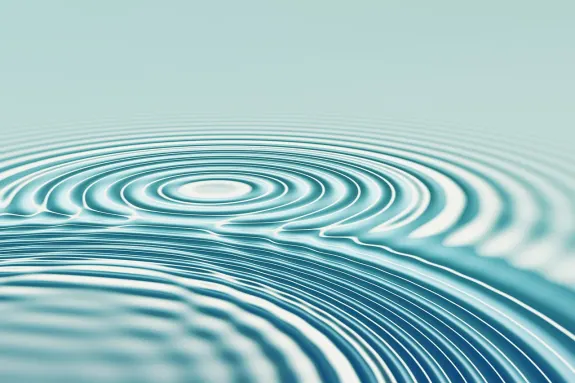 BetBeard Casino Suporte